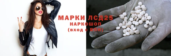 индика Протвино