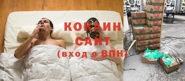 сатива Алексин