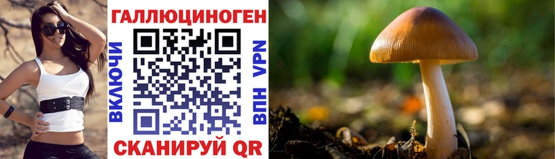Псилоцибиновые грибы прущие грибы Купить закладки Всеволожск